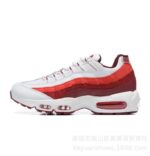 corteiz-gs-nike-air-max-95-recraft